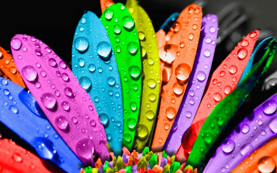 Exploring Dynamic Color Theory in Motion Exploring Dynamic Color Theory in Motion