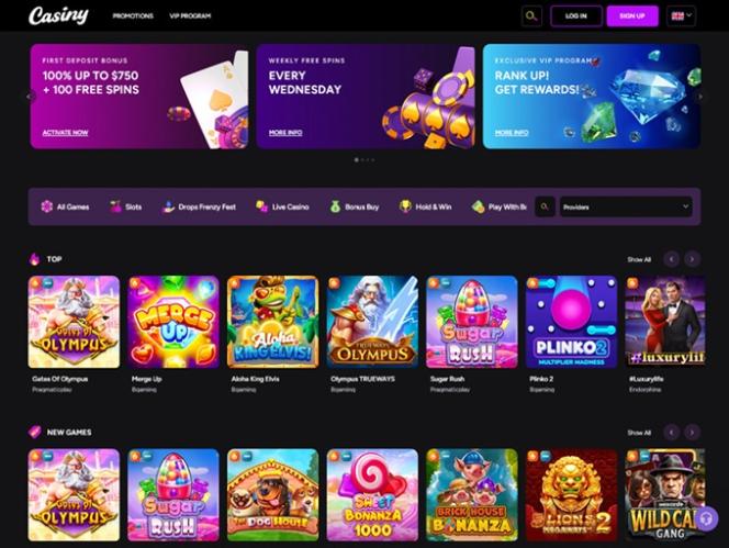 Discover the Thrills of Online Gaming at Casiny Casino