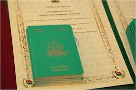 Vanuatu Citizenship by Investment The Role of a Lawyer 891011783 Vanuatu Citizenship by Investment The Role of a Lawyer 891011783